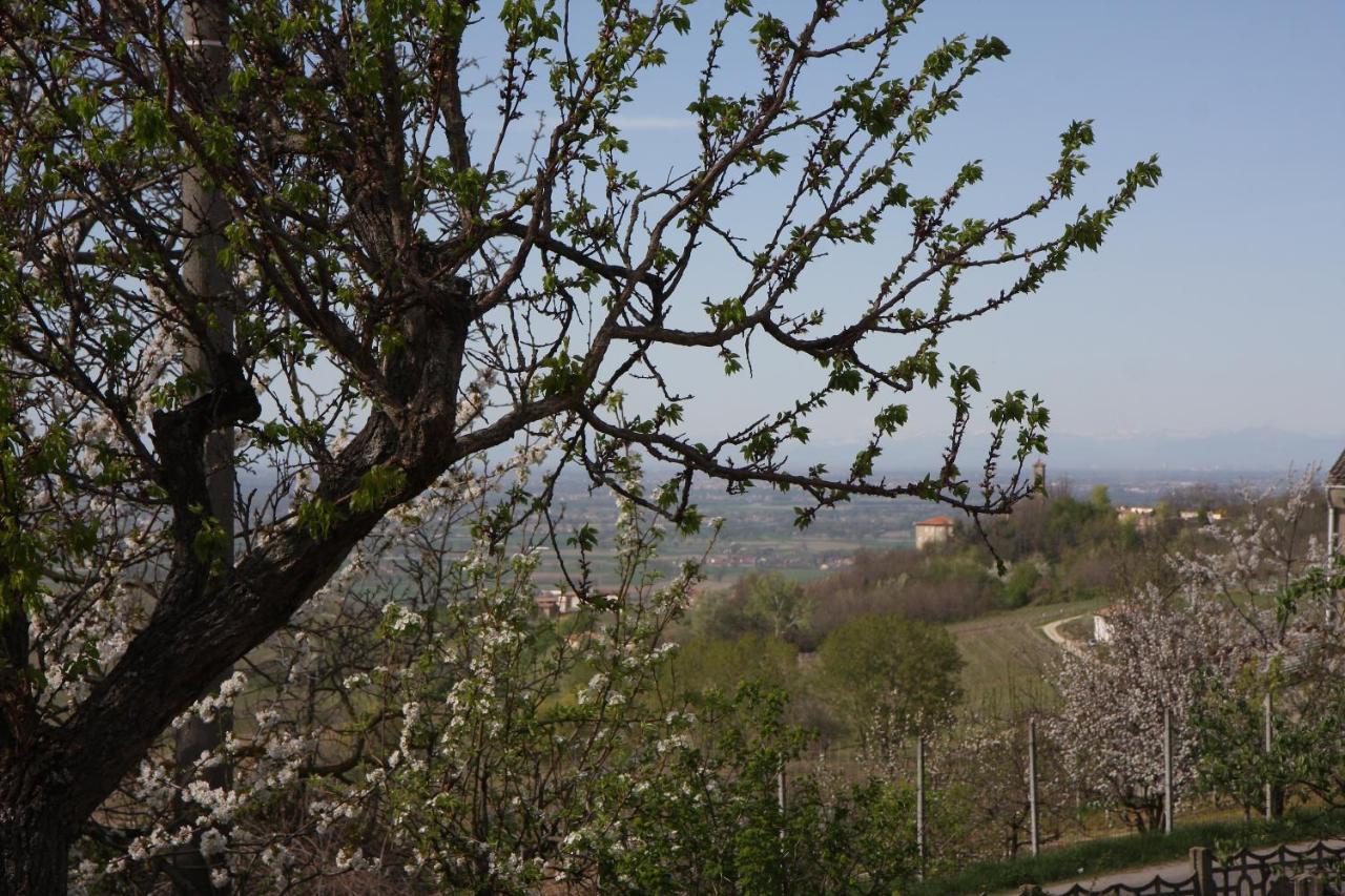 Bed and Breakfast Gli Acini à Pietra dei Giorgi Extérieur photo