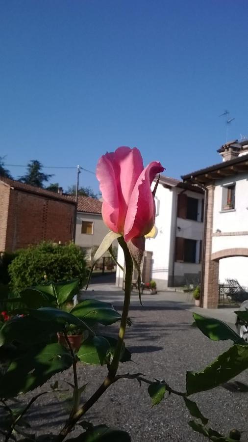Bed and Breakfast Gli Acini à Pietra dei Giorgi Extérieur photo